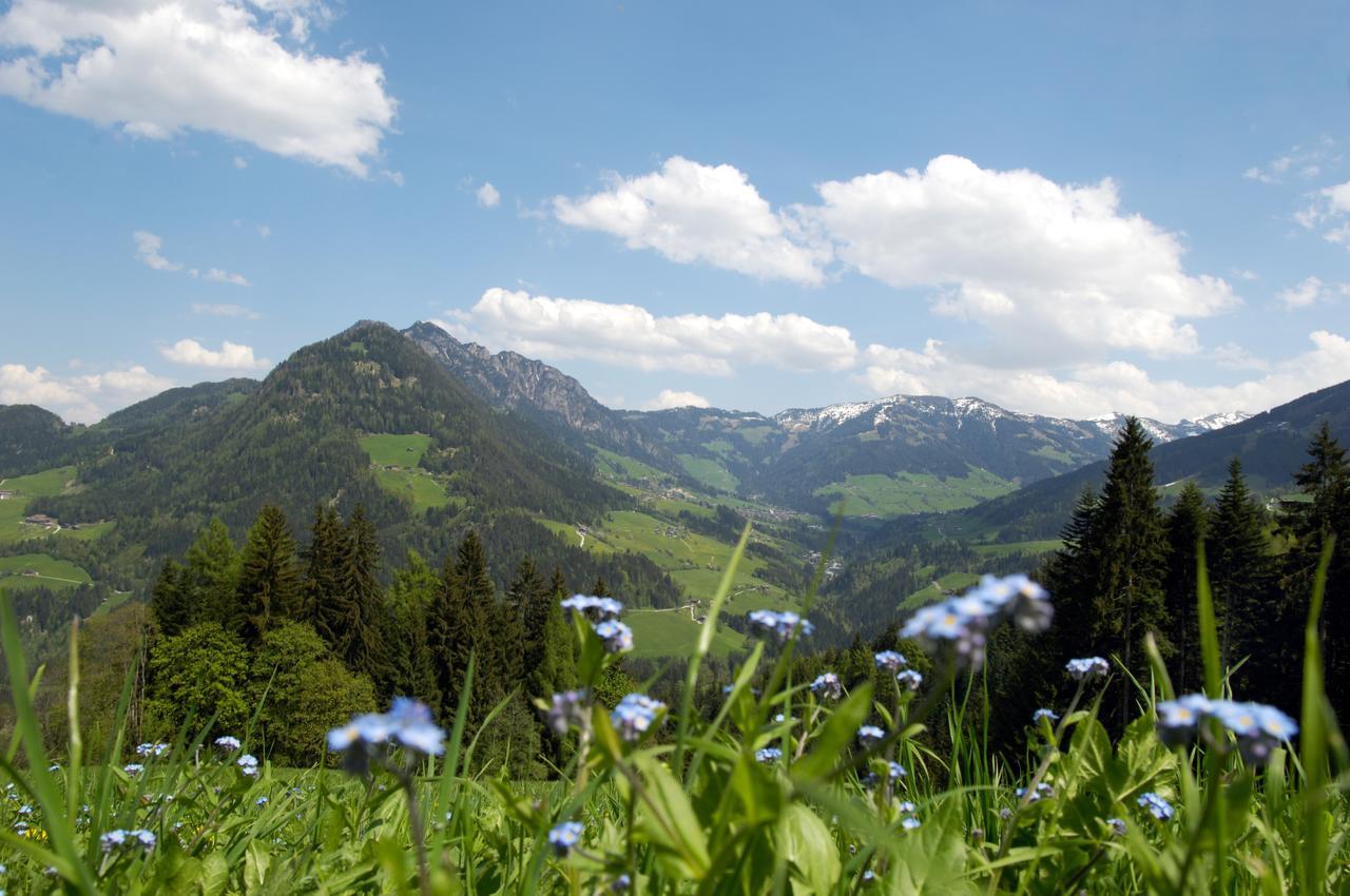 Bergchalet Rauchenhof Reith im Alpbachtal Kültér fotó